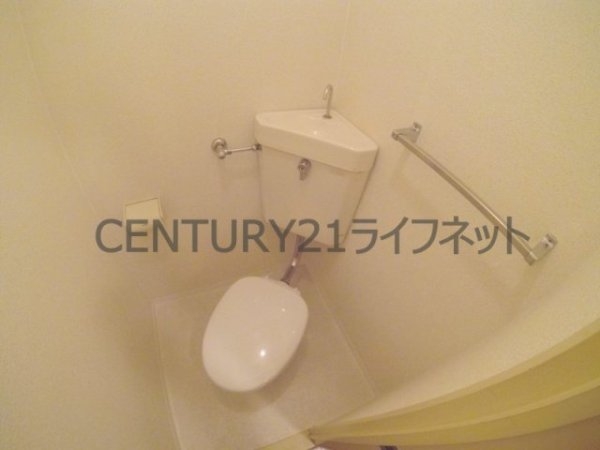 コレクション中崎1