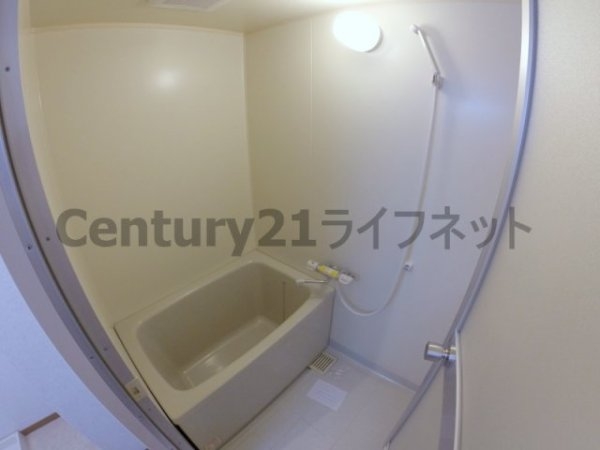 ミレニアム