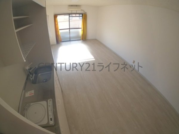 ハイム旗