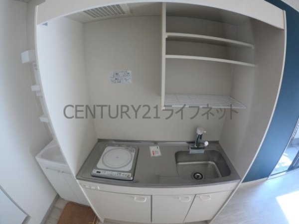 ハイム旗