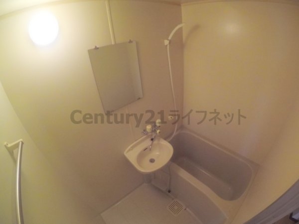 ラペンテ