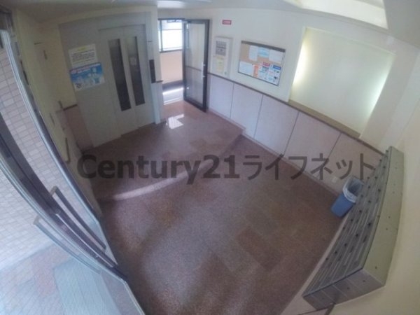 リアライズ十八条