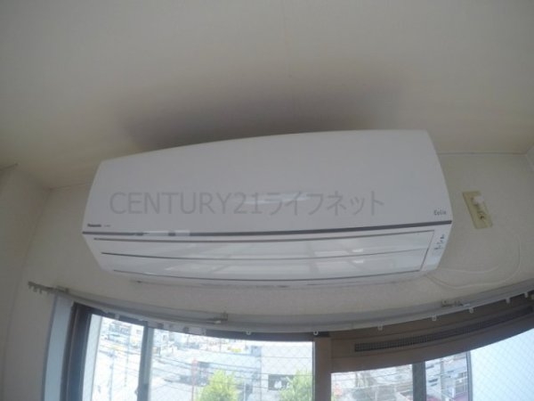 プロヴァンスマユミ