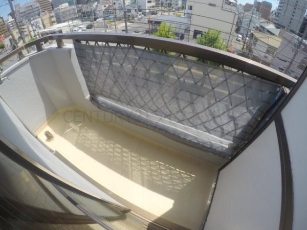 プロヴァンスマユミ