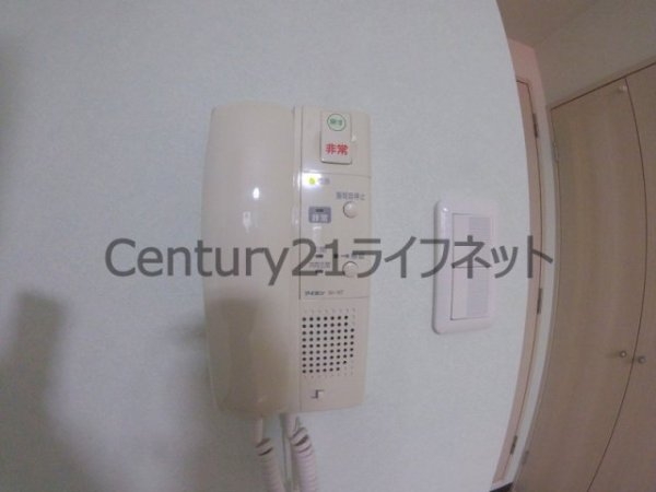 サザン長柄