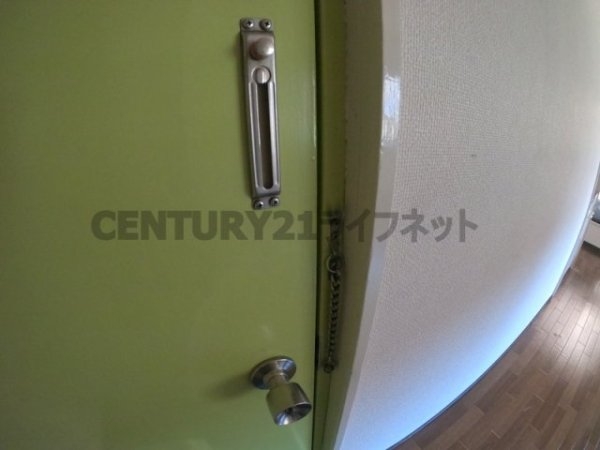 アルバトロス