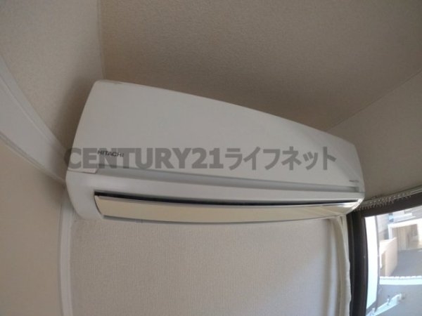 アルバトロス