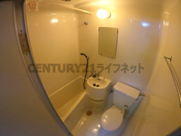 アルバトロス