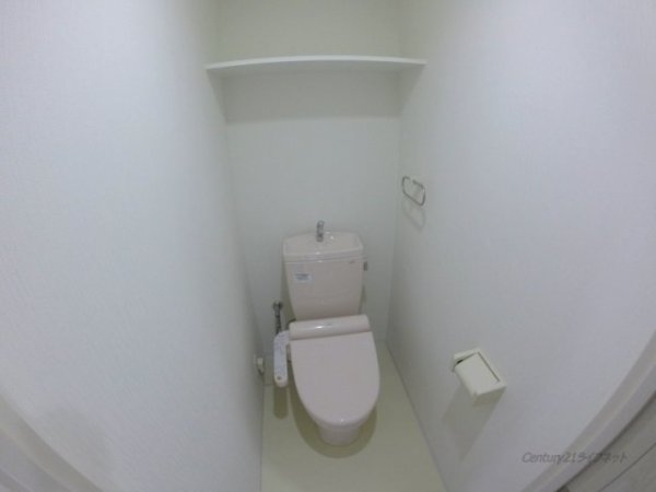レビソール