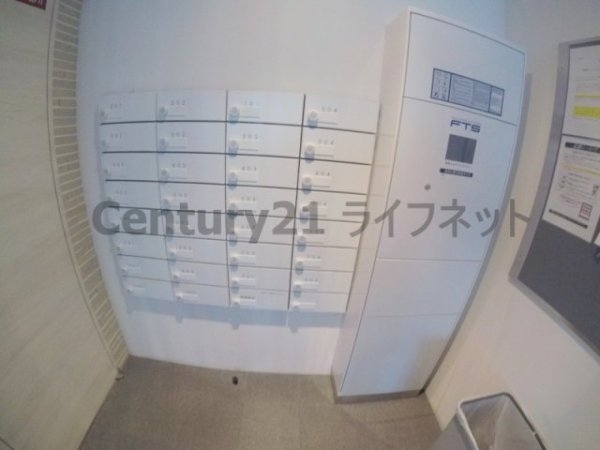 スプランディッド三国2