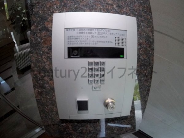 ミッドコートウメキタ