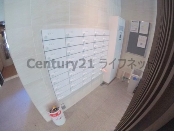 スプランディッド三国1