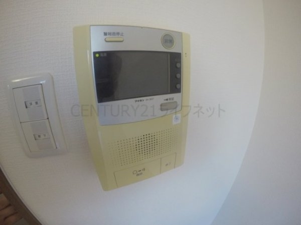 ハックベリー