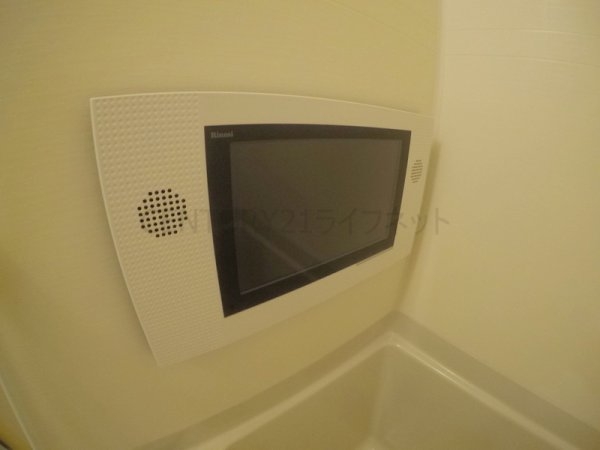 ハックベリー