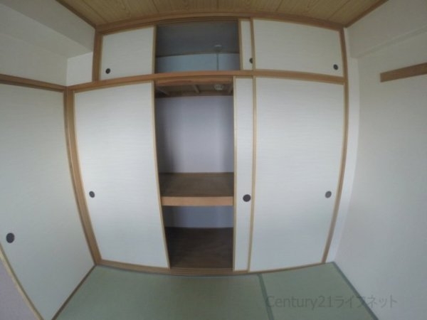 パルハセトン十三