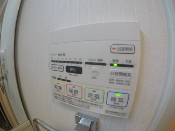 シェリールヒカリ