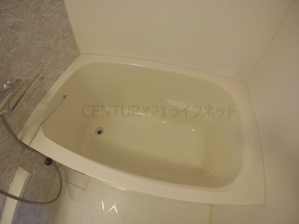 シェリールヒカリ