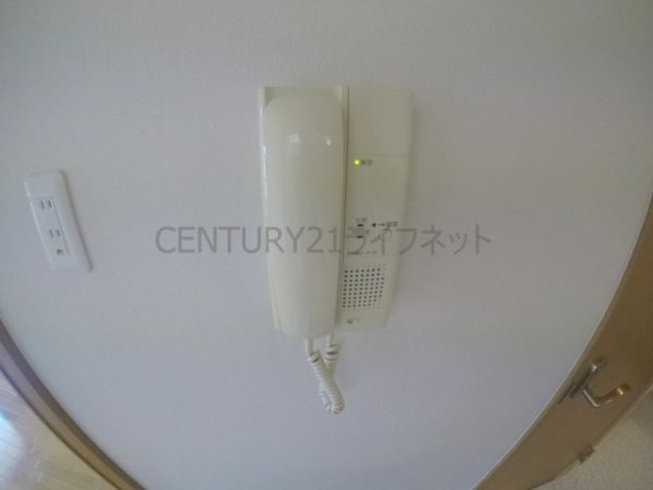 モーブ