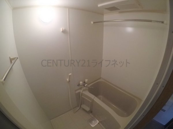 モーブ