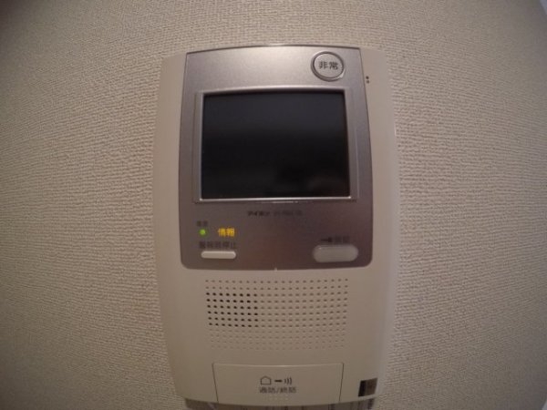 ブリッサフェリス