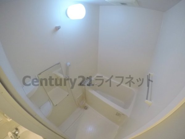 アミスタ菅原