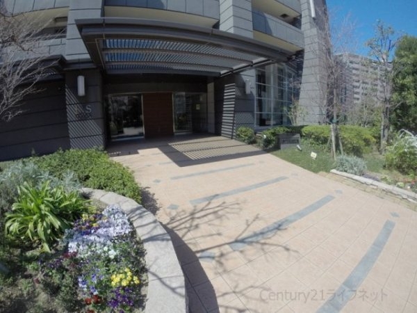 リーザス大阪