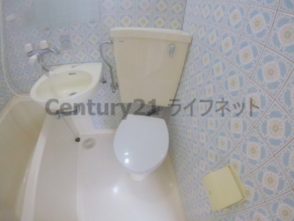 プロヴァンス
