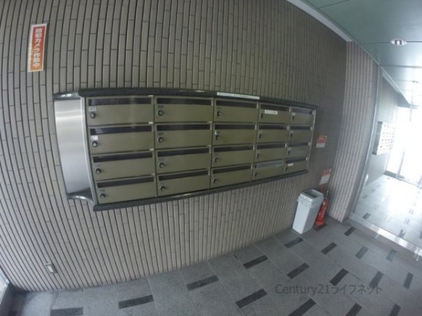 シャトレ谷山