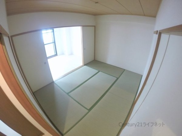 シャトレ谷山
