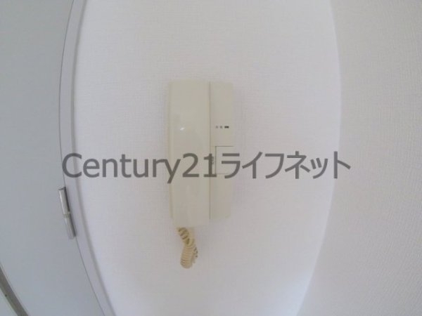 中之島アンフィニ