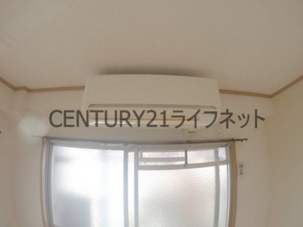 シバヤ中津
