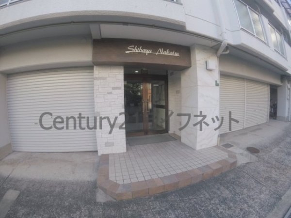シバヤ中津