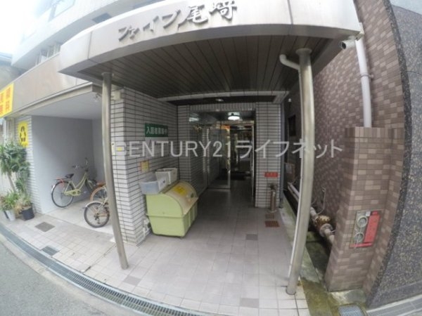 ファイブ尾崎