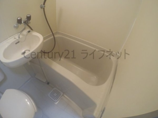 ファイブ尾崎