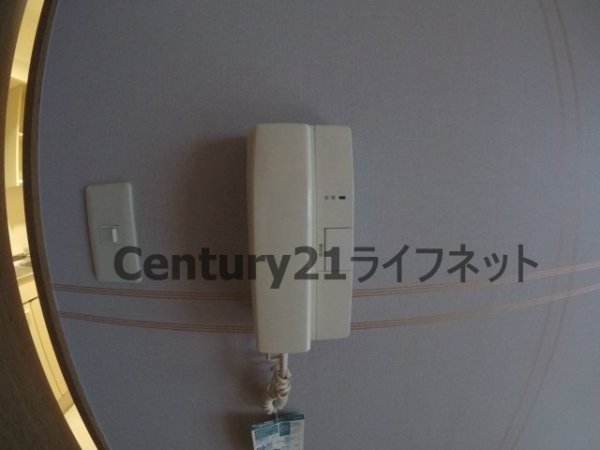エレーヌ十三