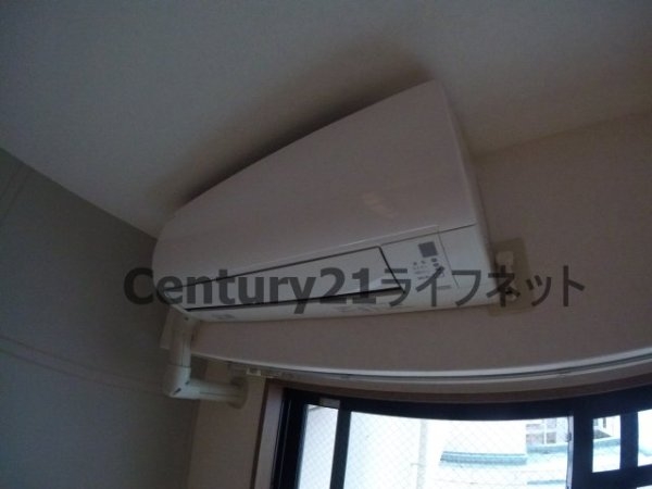 エレーヌ十三