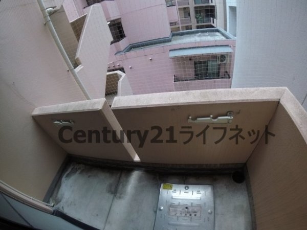 エレーヌ十三