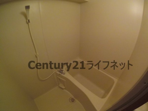 エレーヌ十三