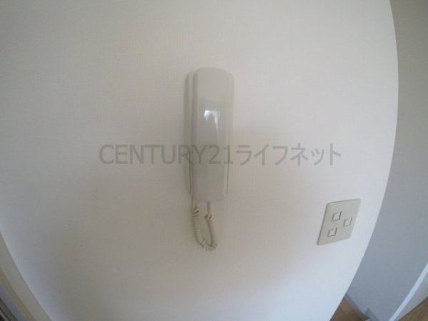 ベルベデーレ
