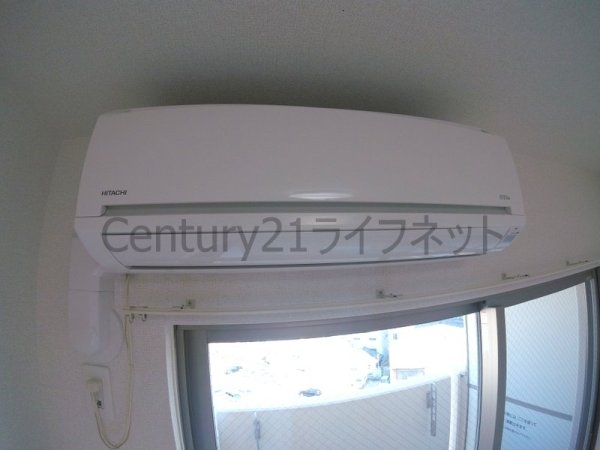 ブリッサフェリス