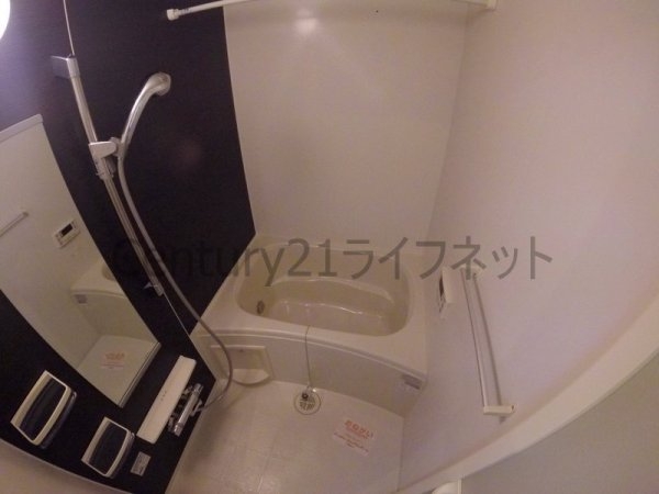ブリッサフェリス