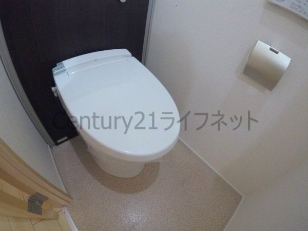 ブリッサフェリス