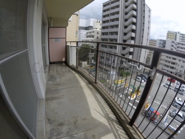 サンキライフ白遥