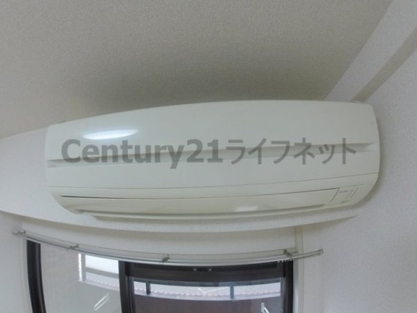 ミフネセントラルベア東三国