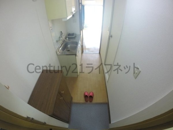 シロハイヌ新大阪