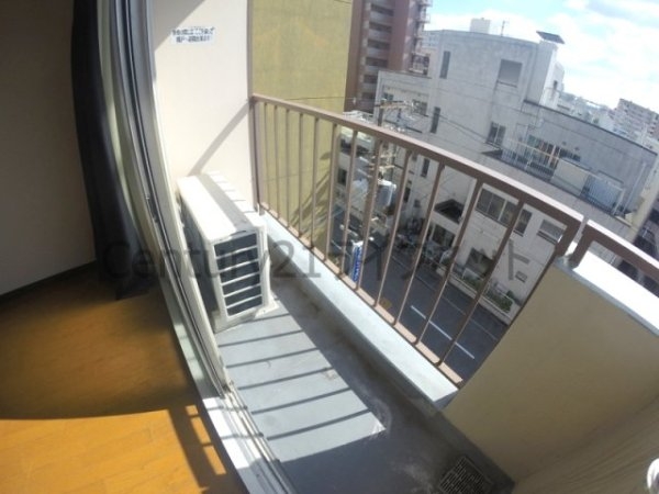 シロハイヌ新大阪