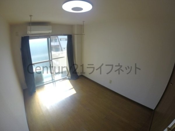 シロハイヌ新大阪