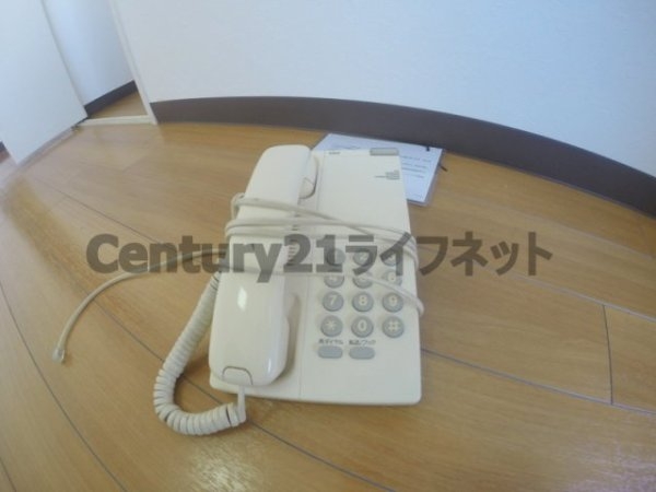 木川東エクセルハイツ