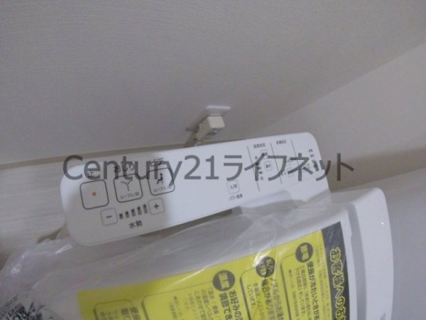 ベル・ステラ