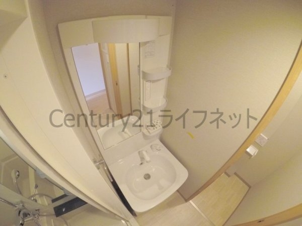 イベリスコート